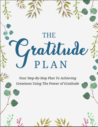 Book cover of 'The Gratitude Plan' with decorative leaves on a white background